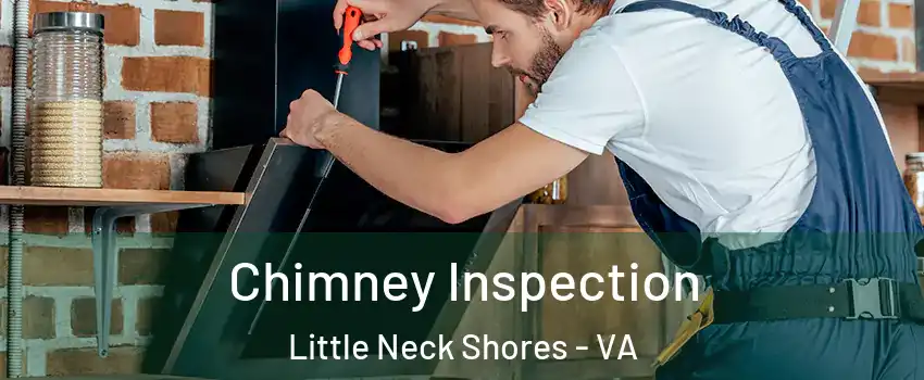 Chimney Inspection Little Neck Shores - VA