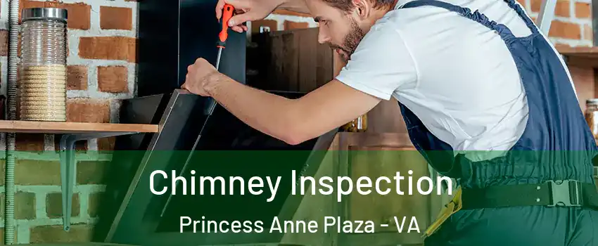 Chimney Inspection Princess Anne Plaza - VA