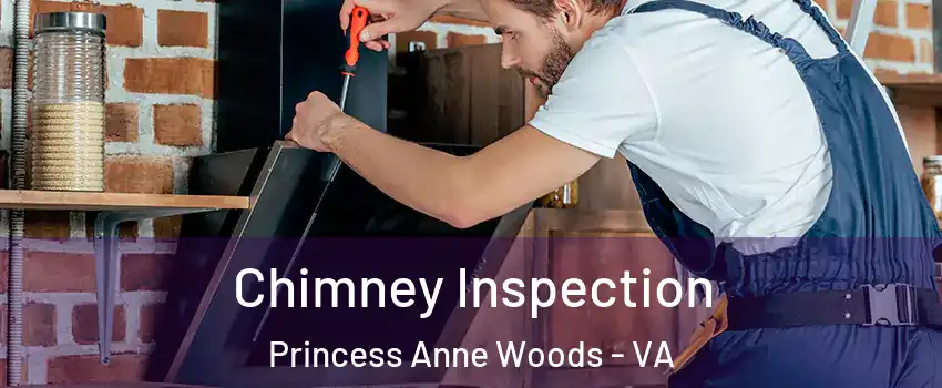 Chimney Inspection Princess Anne Woods - VA
