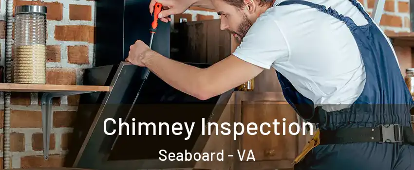 Chimney Inspection Seaboard - VA