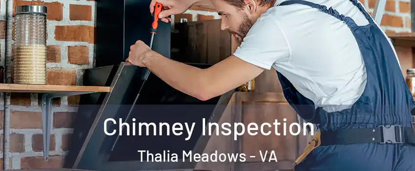 Chimney Inspection Thalia Meadows - VA