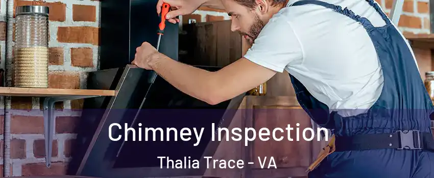 Chimney Inspection Thalia Trace - VA