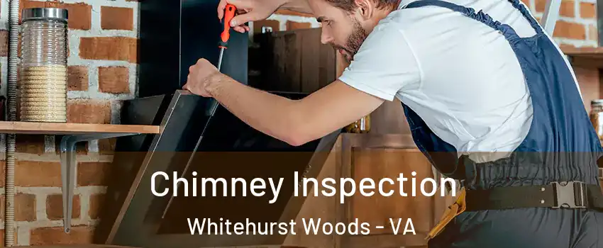 Chimney Inspection Whitehurst Woods - VA
