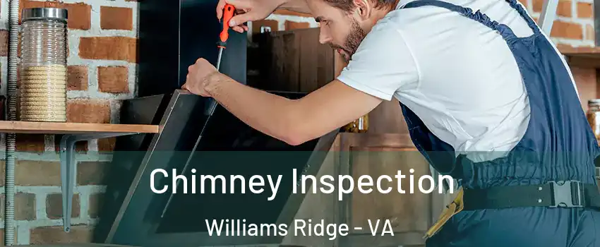 Chimney Inspection Williams Ridge - VA