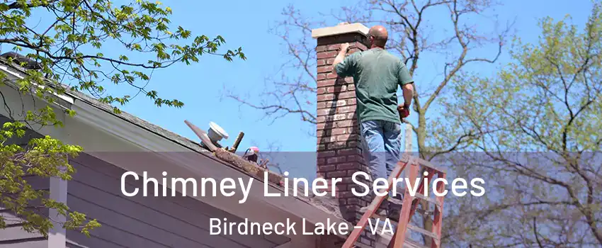 Chimney Liner Services Birdneck Lake - VA