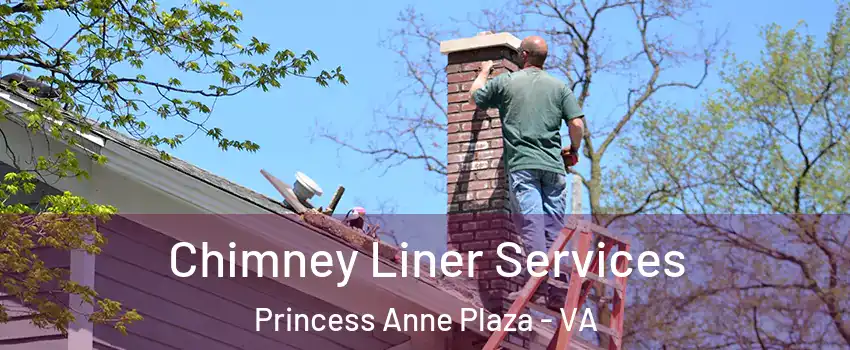 Chimney Liner Services Princess Anne Plaza - VA