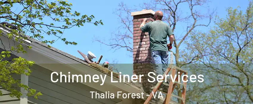 Chimney Liner Services Thalia Forest - VA