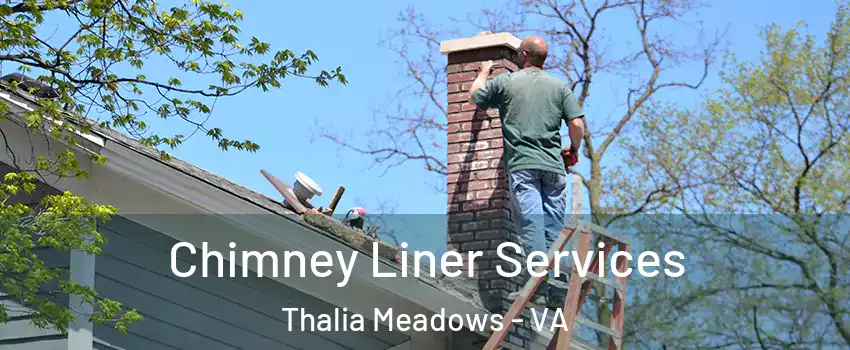 Chimney Liner Services Thalia Meadows - VA