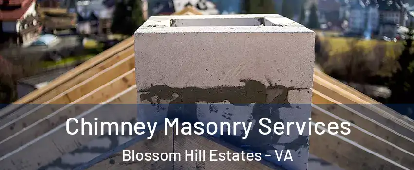 Chimney Masonry Services Blossom Hill Estates - VA