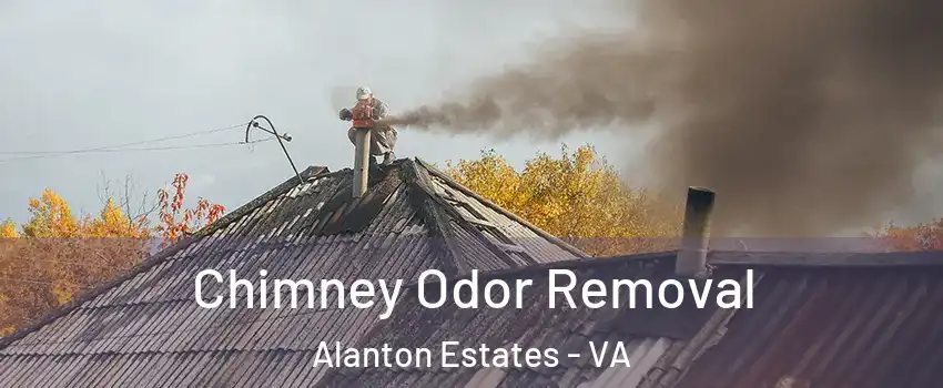 Chimney Odor Removal Alanton Estates - VA