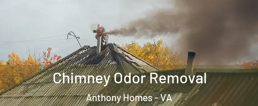 Chimney Odor Removal Anthony Homes - VA