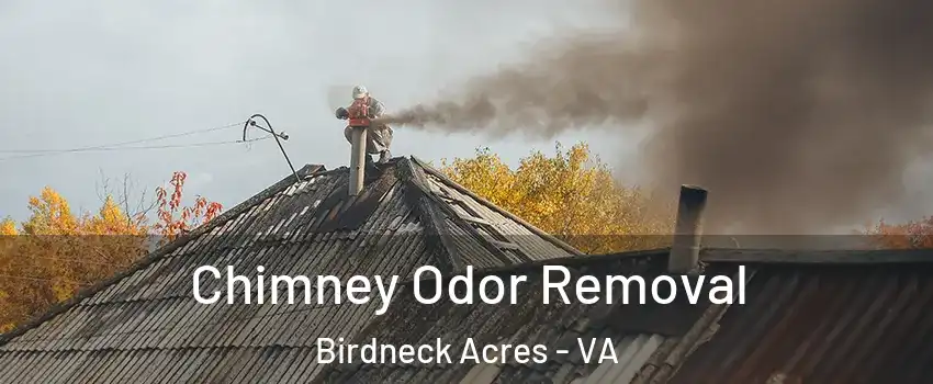 Chimney Odor Removal Birdneck Acres - VA
