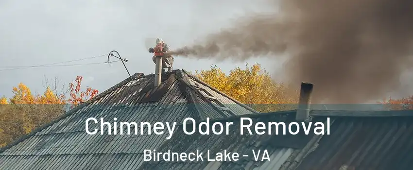 Chimney Odor Removal Birdneck Lake - VA