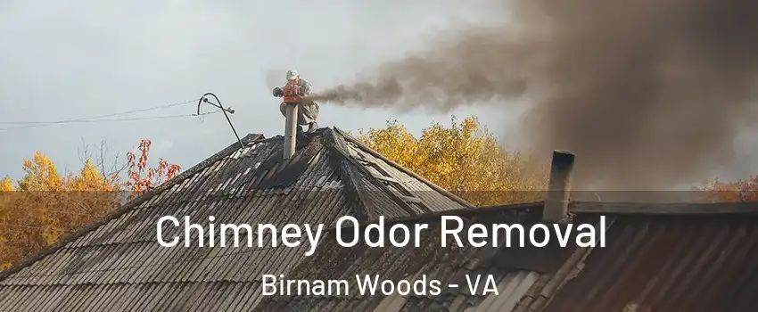 Chimney Odor Removal Birnam Woods - VA