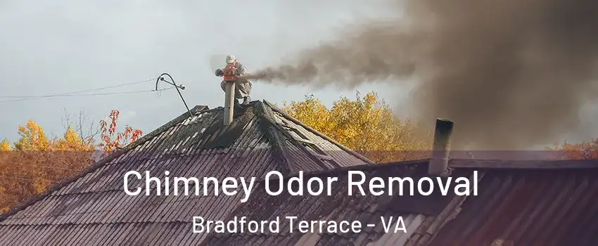 Chimney Odor Removal Bradford Terrace - VA