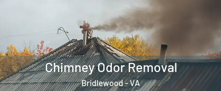 Chimney Odor Removal Bridlewood - VA