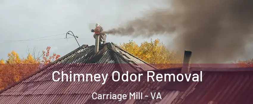 Chimney Odor Removal Carriage Mill - VA