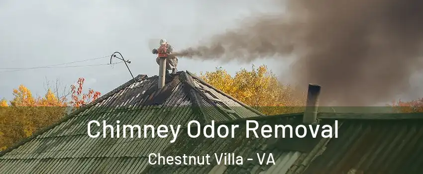 Chimney Odor Removal Chestnut Villa - VA