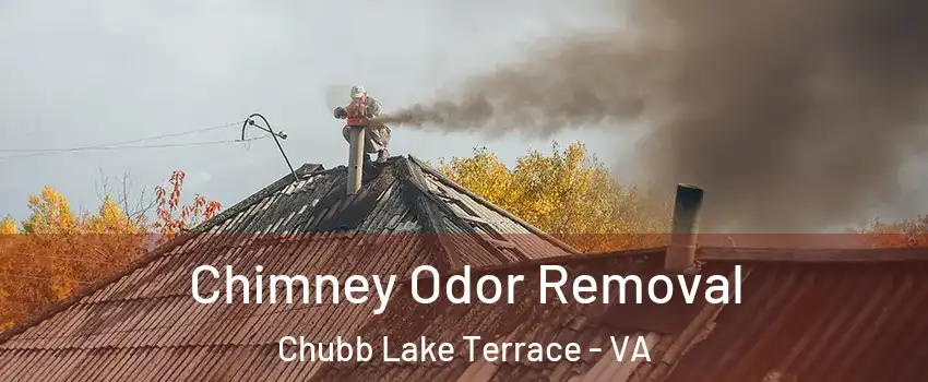 Chimney Odor Removal Chubb Lake Terrace - VA