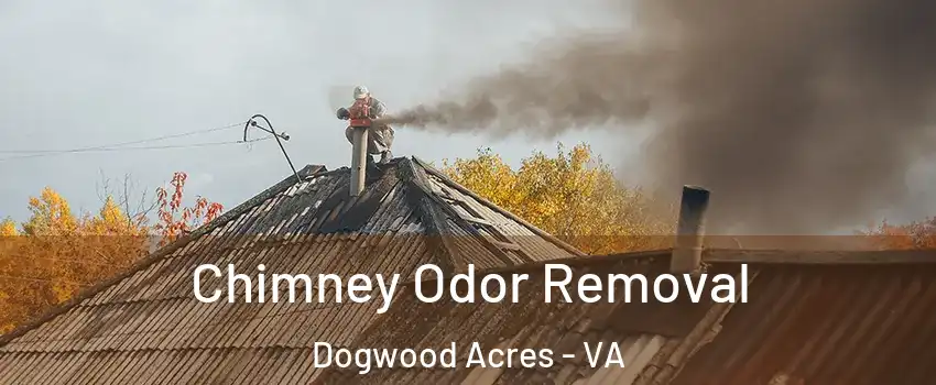 Chimney Odor Removal Dogwood Acres - VA
