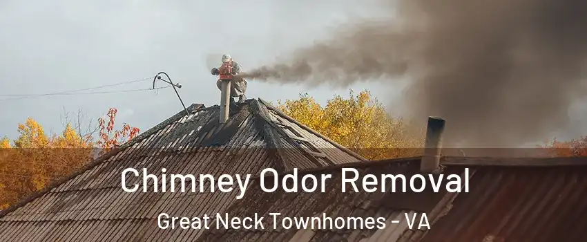 Chimney Odor Removal Great Neck Townhomes - VA