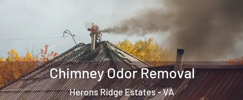 Chimney Odor Removal Herons Ridge Estates - VA