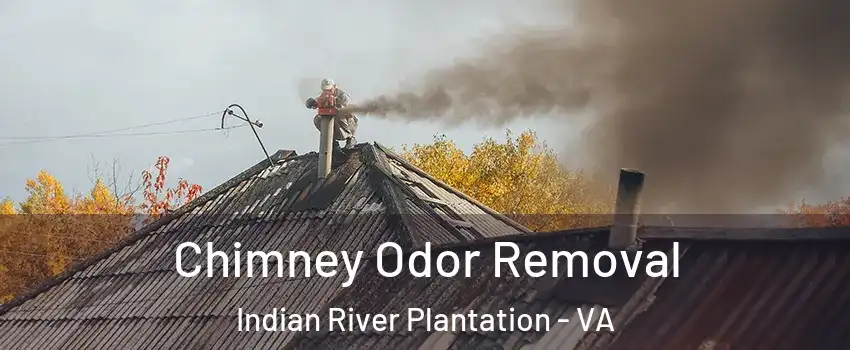 Chimney Odor Removal Indian River Plantation - VA