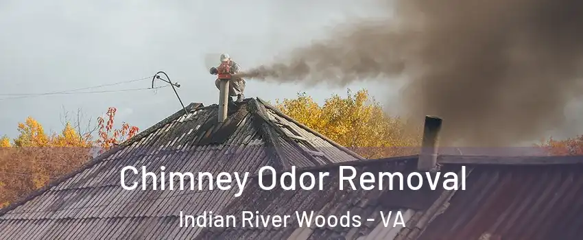 Chimney Odor Removal Indian River Woods - VA