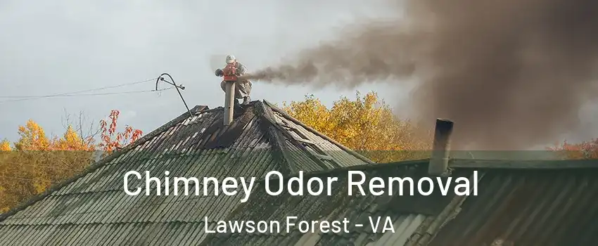 Chimney Odor Removal Lawson Forest - VA
