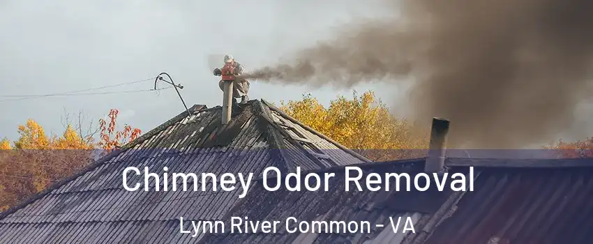 Chimney Odor Removal Lynn River Common - VA