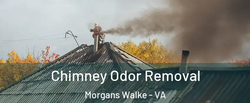 Chimney Odor Removal Morgans Walke - VA