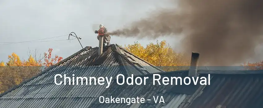 Chimney Odor Removal Oakengate - VA