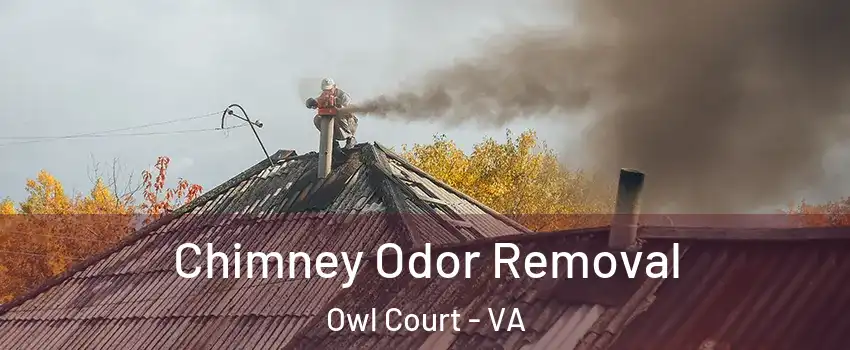 Chimney Odor Removal Owl Court - VA