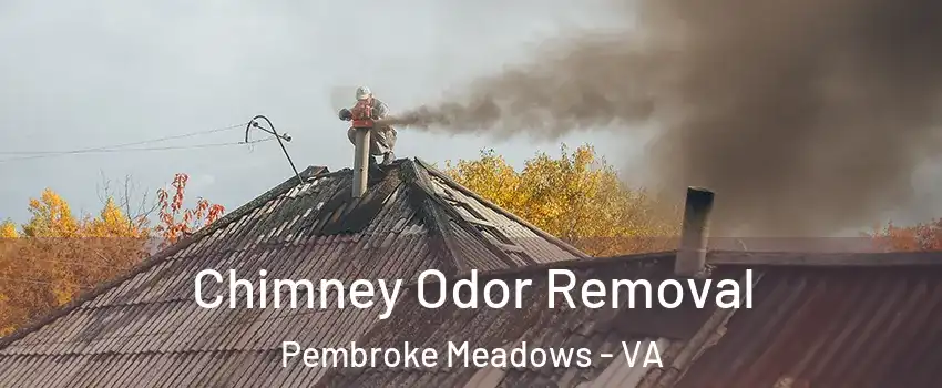 Chimney Odor Removal Pembroke Meadows - VA