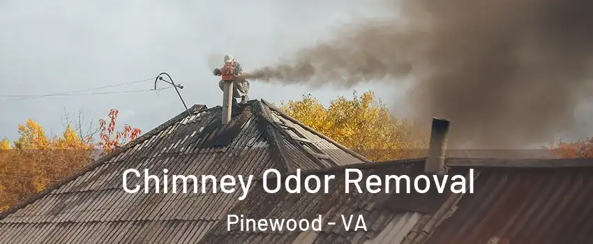 Chimney Odor Removal Pinewood - VA