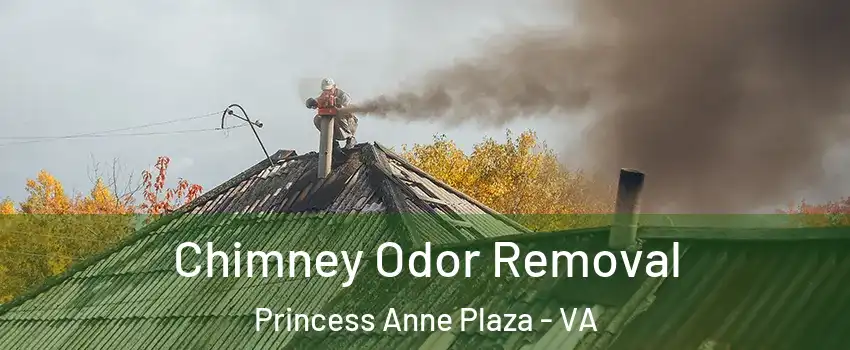 Chimney Odor Removal Princess Anne Plaza - VA