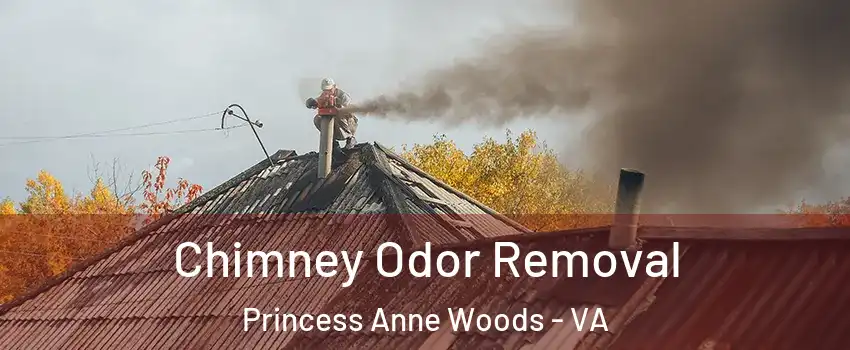 Chimney Odor Removal Princess Anne Woods - VA