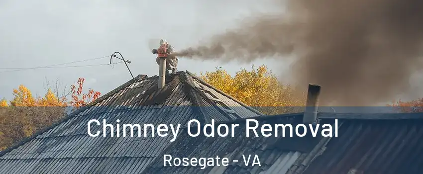 Chimney Odor Removal Rosegate - VA