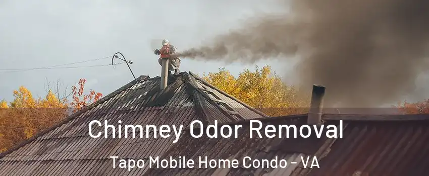Chimney Odor Removal Tapo Mobile Home Condo - VA