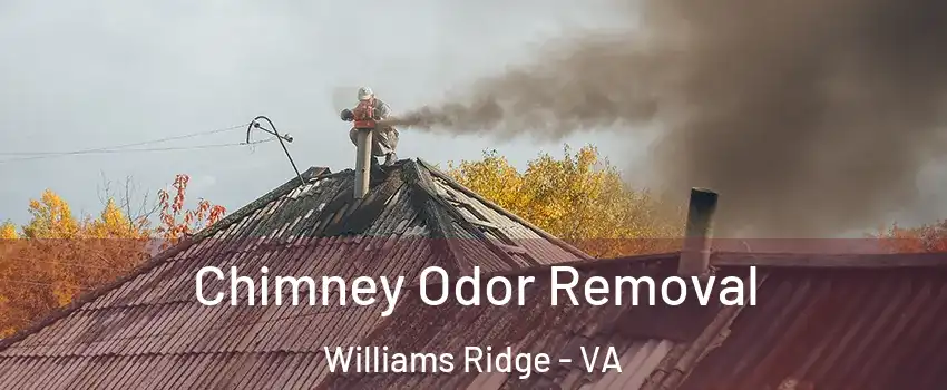 Chimney Odor Removal Williams Ridge - VA