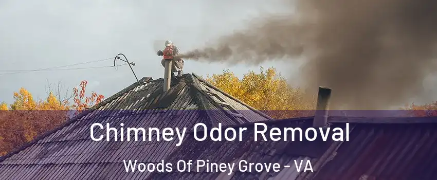 Chimney Odor Removal Woods Of Piney Grove - VA