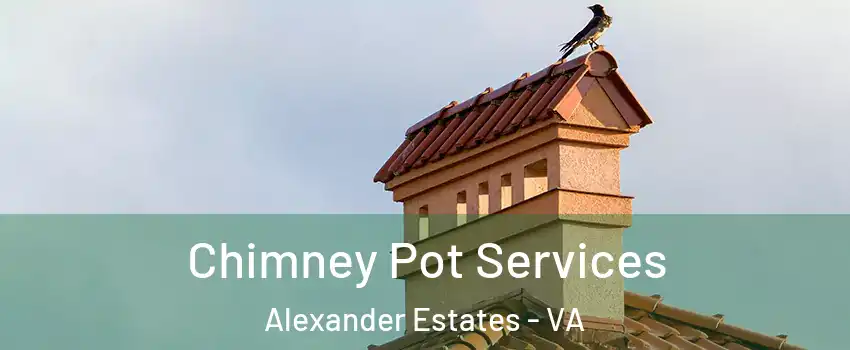 Chimney Pot Services Alexander Estates - VA