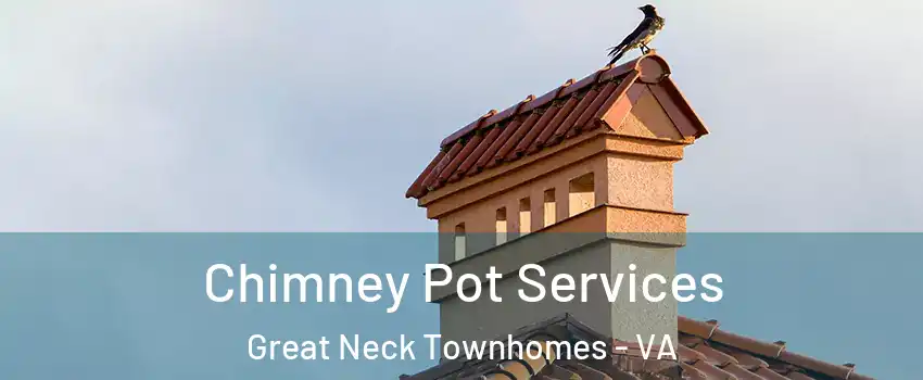 Chimney Pot Services Great Neck Townhomes - VA
