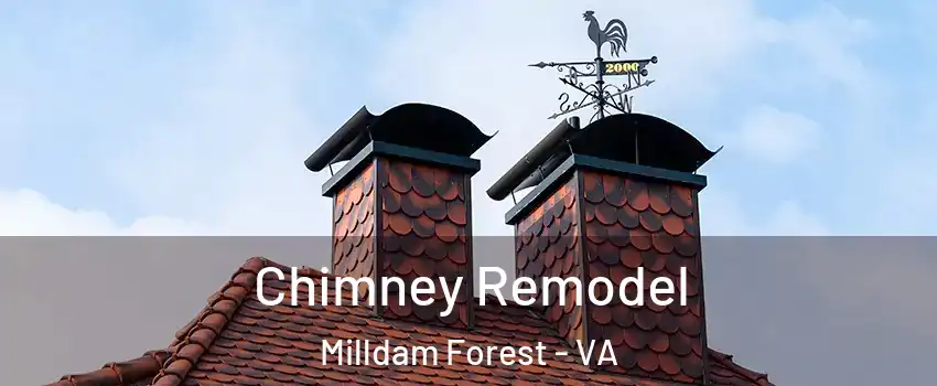 Chimney Remodel Milldam Forest - VA