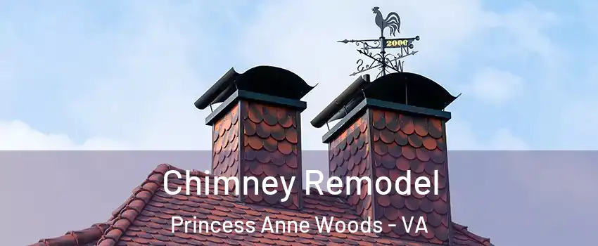Chimney Remodel Princess Anne Woods - VA