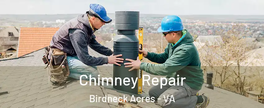 Chimney Repair Birdneck Acres - VA