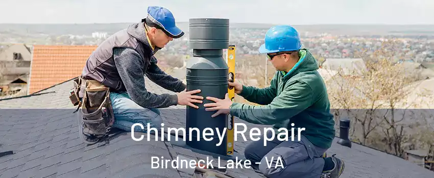 Chimney Repair Birdneck Lake - VA