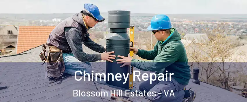 Chimney Repair Blossom Hill Estates - VA