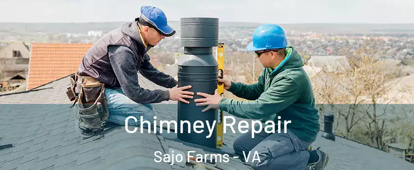 Chimney Repair Sajo Farms - VA