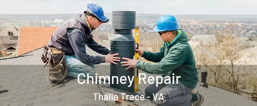 Chimney Repair Thalia Trace - VA